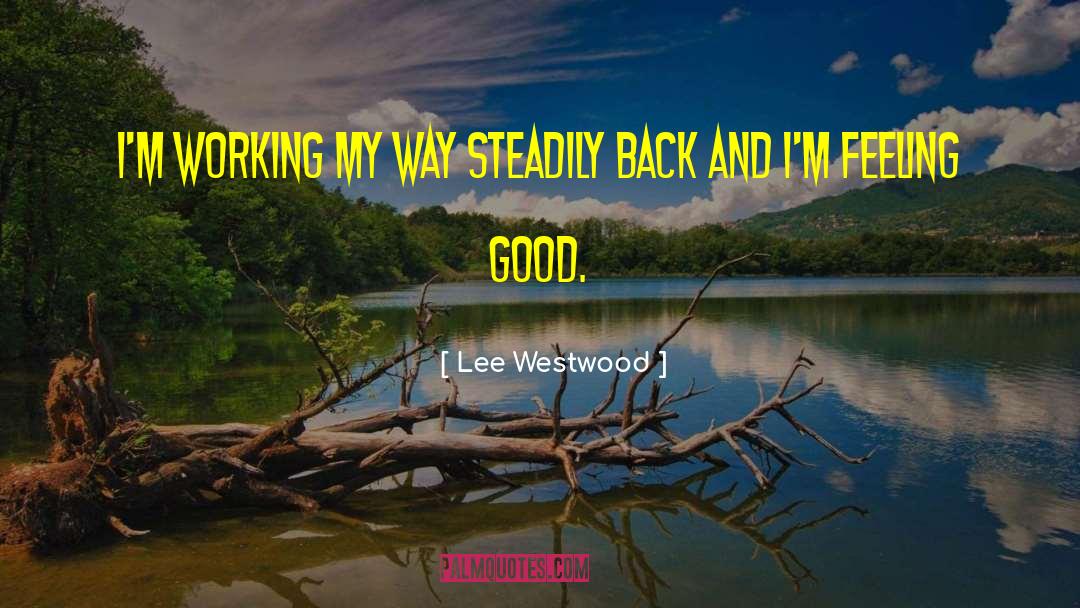 Lee Westwood Quotes: I'm working my way steadily