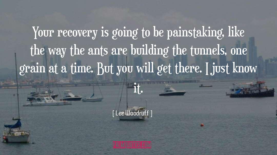 Lee Woodruff Quotes: Your recovery is going to