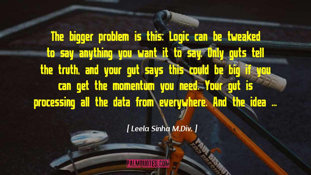 Leela Sinha M.Div. Quotes: The bigger problem is this: