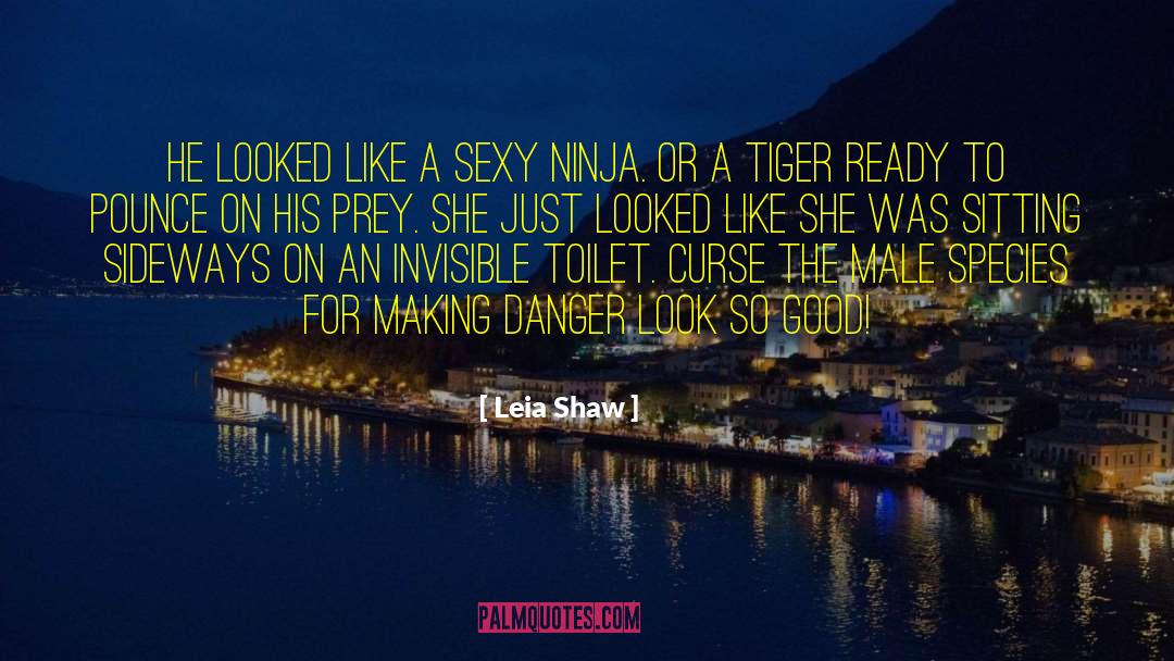 Leia Shaw Quotes: He looked like a sexy