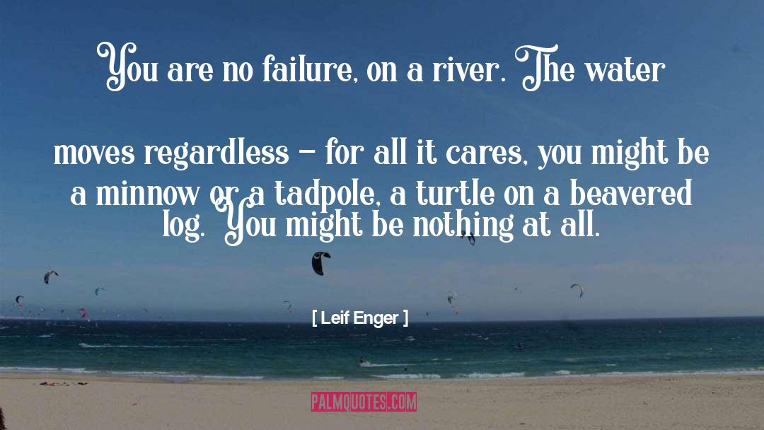 Leif Enger Quotes: You are no failure, on