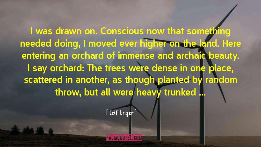 Leif Enger Quotes: I was drawn on. Conscious