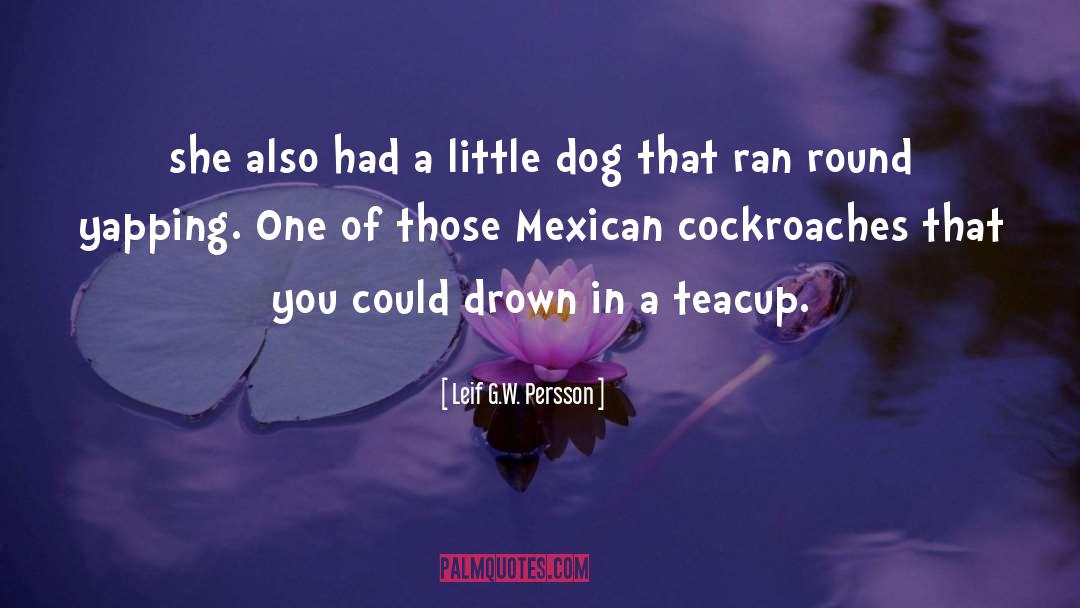 Leif G.W. Persson Quotes: she also had a little