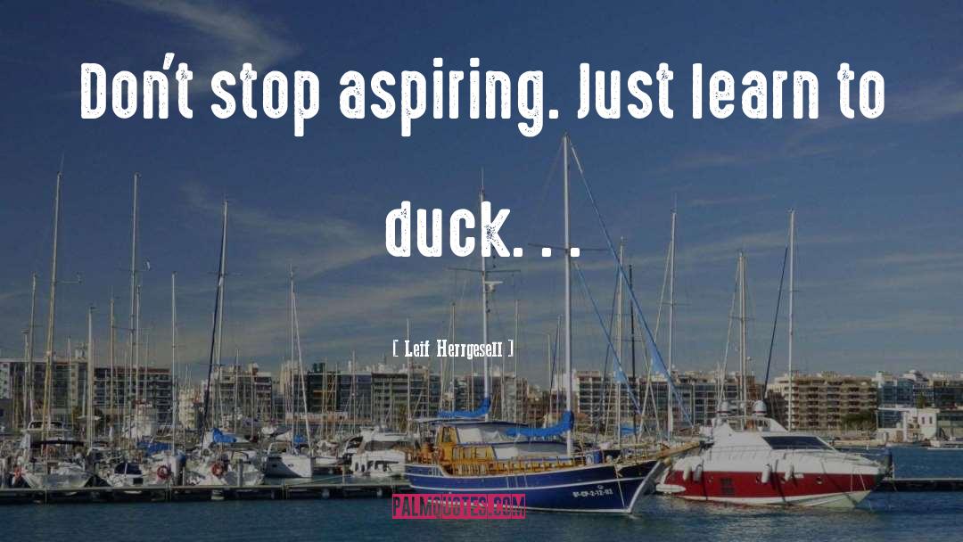 Leif Herrgesell Quotes: Don't stop aspiring. Just learn