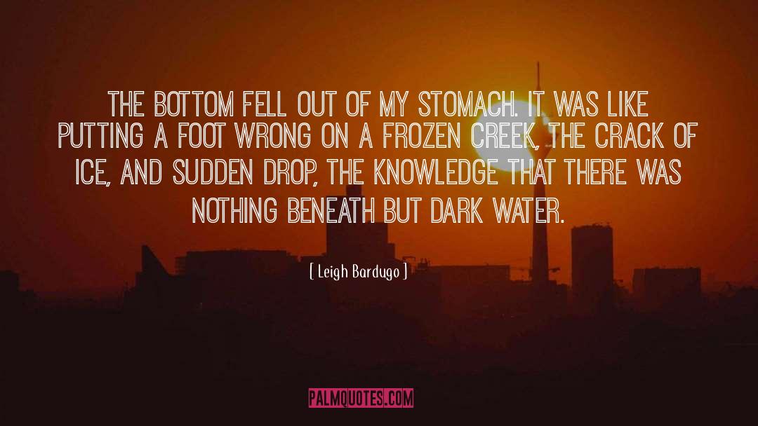 Leigh Bardugo Quotes: The bottom fell out of