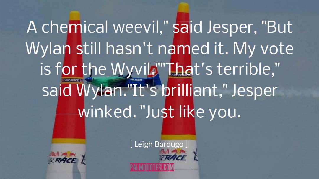 Leigh Bardugo Quotes: A chemical weevil,