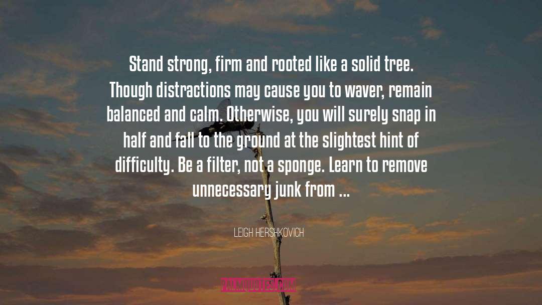 Leigh Hershkovich Quotes: Stand strong, firm and rooted