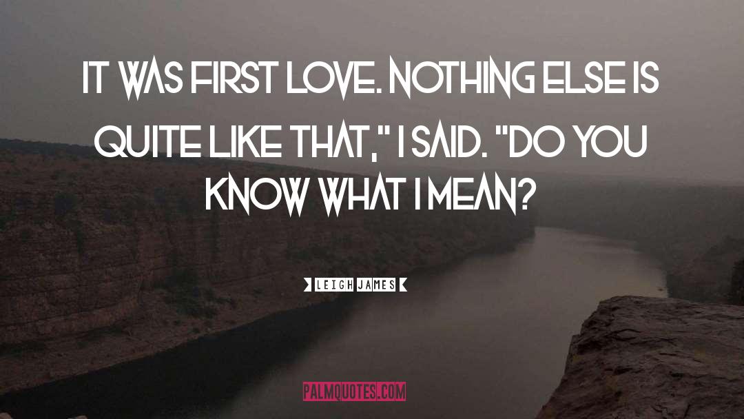 Leigh James Quotes: It was first love. Nothing