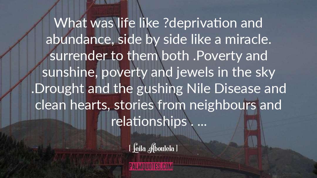 Leila Aboulela Quotes: What was life like ?<br>deprivation