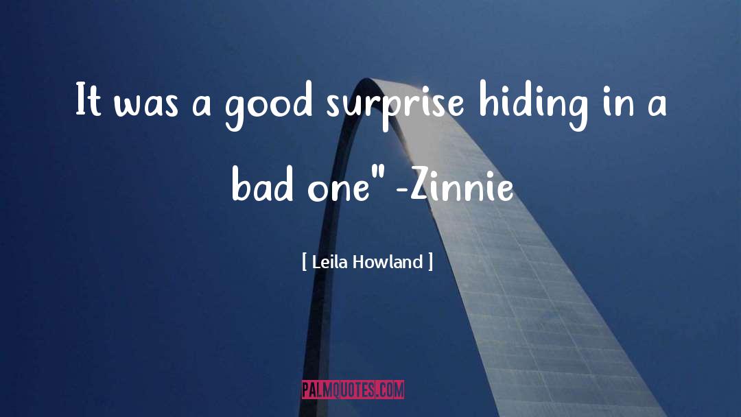 Leila Howland Quotes: It was a good surprise