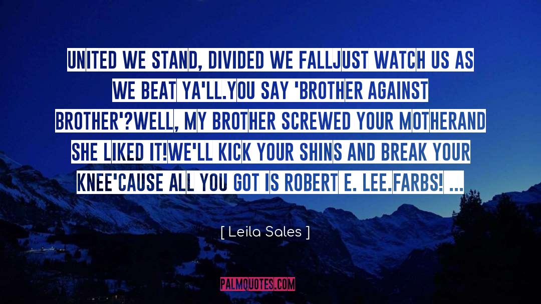 Leila Sales Quotes: United we stand, divided we