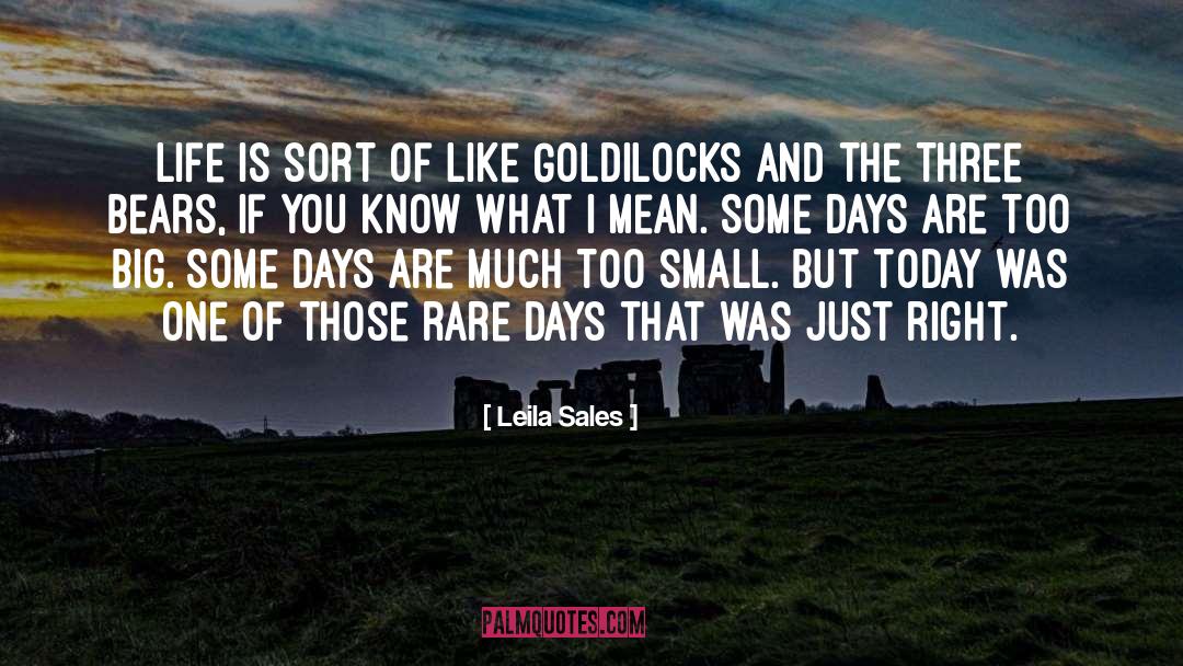 Leila Sales Quotes: Life is sort of like