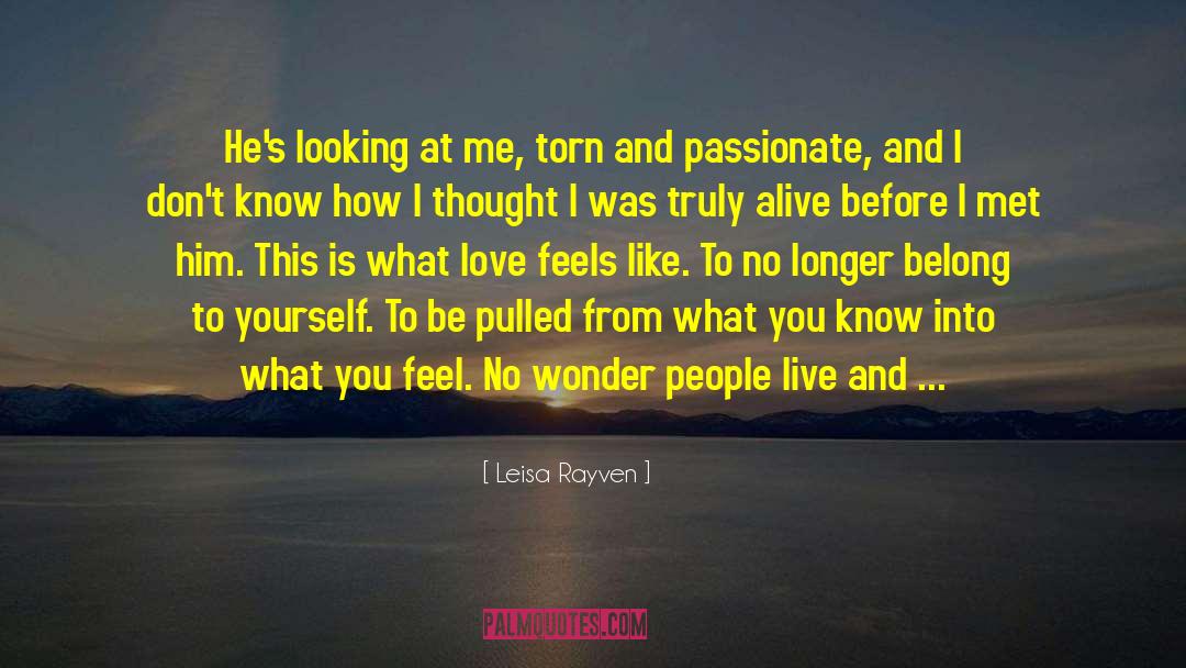 Leisa Rayven Quotes: He's looking at me, torn