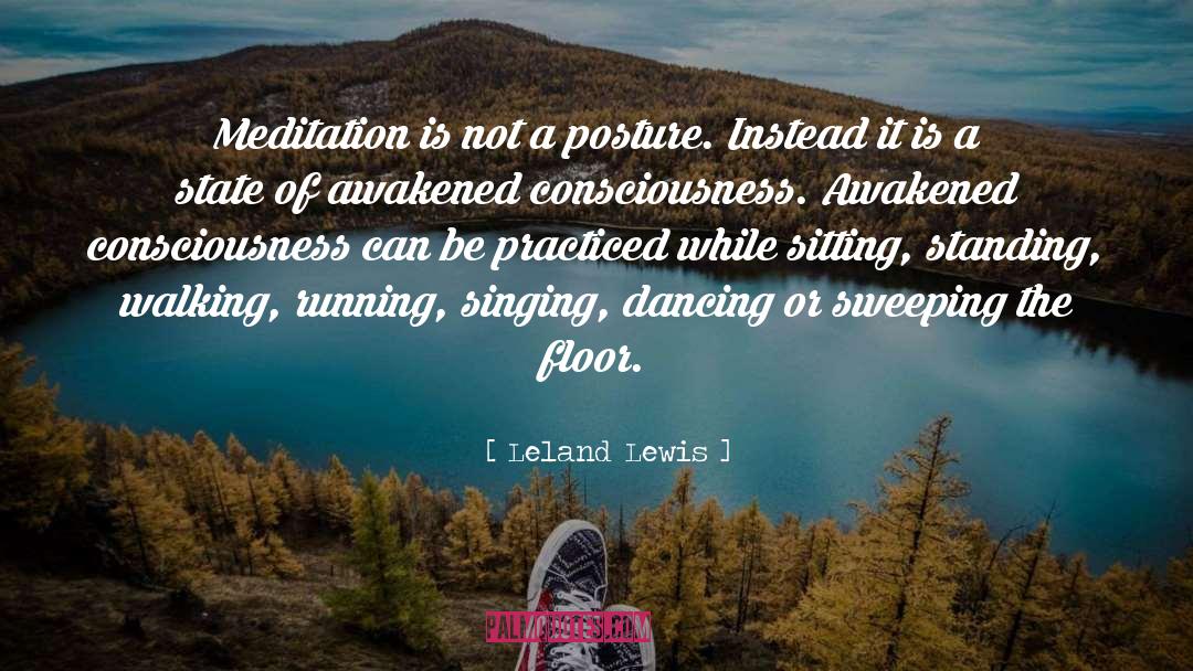 Leland Lewis Quotes: Meditation is not a posture.