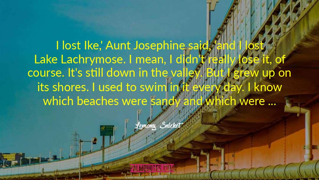 Lemony Snicket Quotes: I lost Ike,' Aunt Josephine