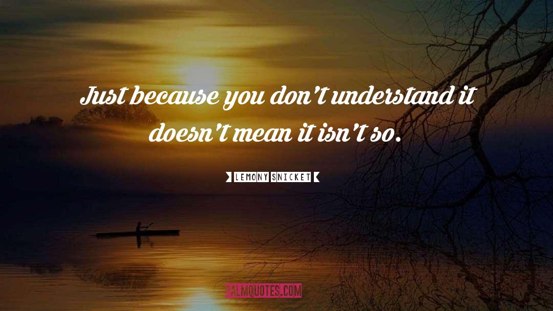 Lemony Snicket Quotes: Just because you don't understand