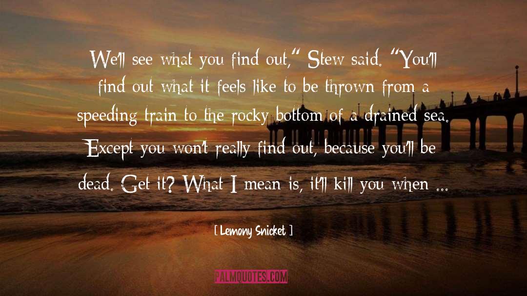 Lemony Snicket Quotes: We'll see what you find