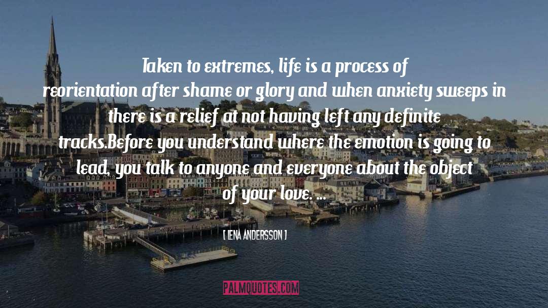 Lena Andersson Quotes: Taken to extremes, life is