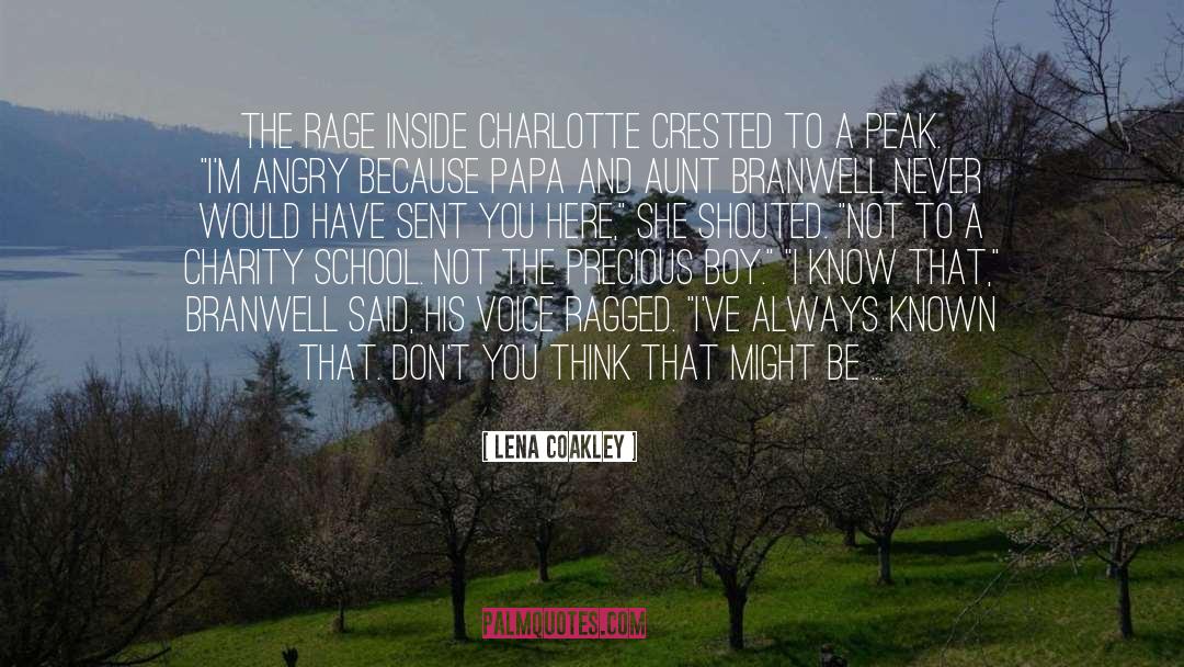 Lena Coakley Quotes: The rage inside Charlotte crested