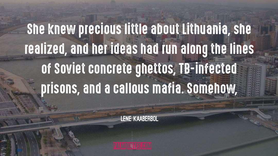 Lene Kaaberbol Quotes: She knew precious little about