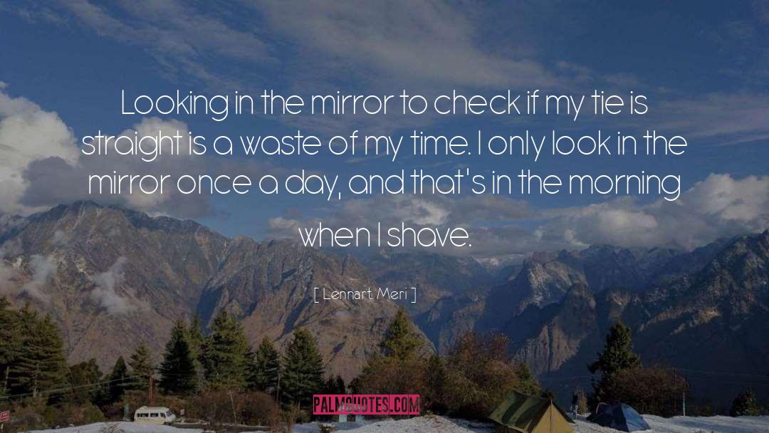 Lennart Meri Quotes: Looking in the mirror to