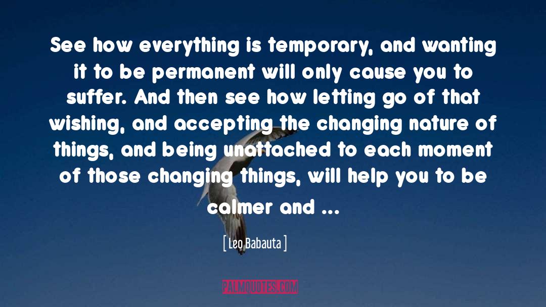 Leo Babauta Quotes: See how everything is temporary,