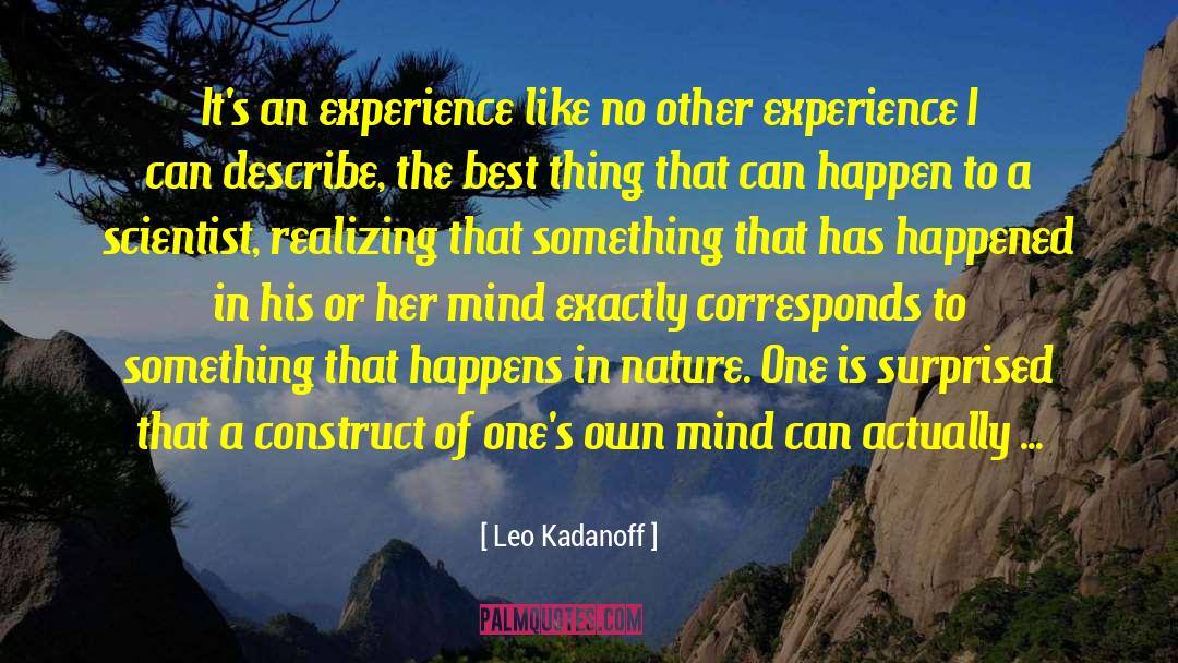 Leo Kadanoff Quotes: It's an experience like no