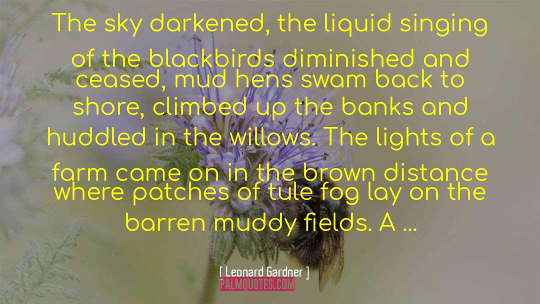 Leonard Gardner Quotes: The sky darkened, the liquid