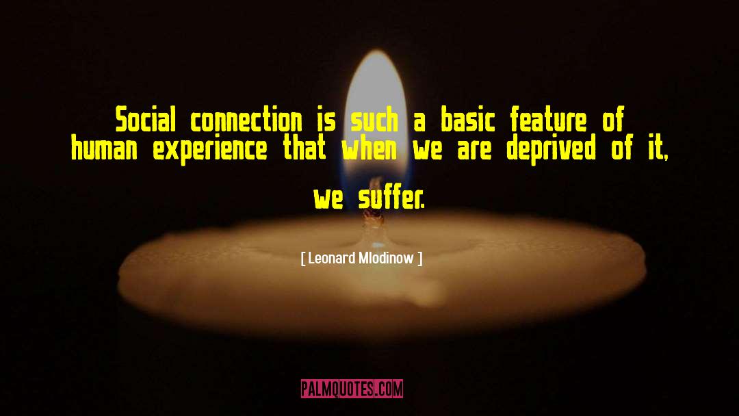 Leonard Mlodinow Quotes: Social connection is such a