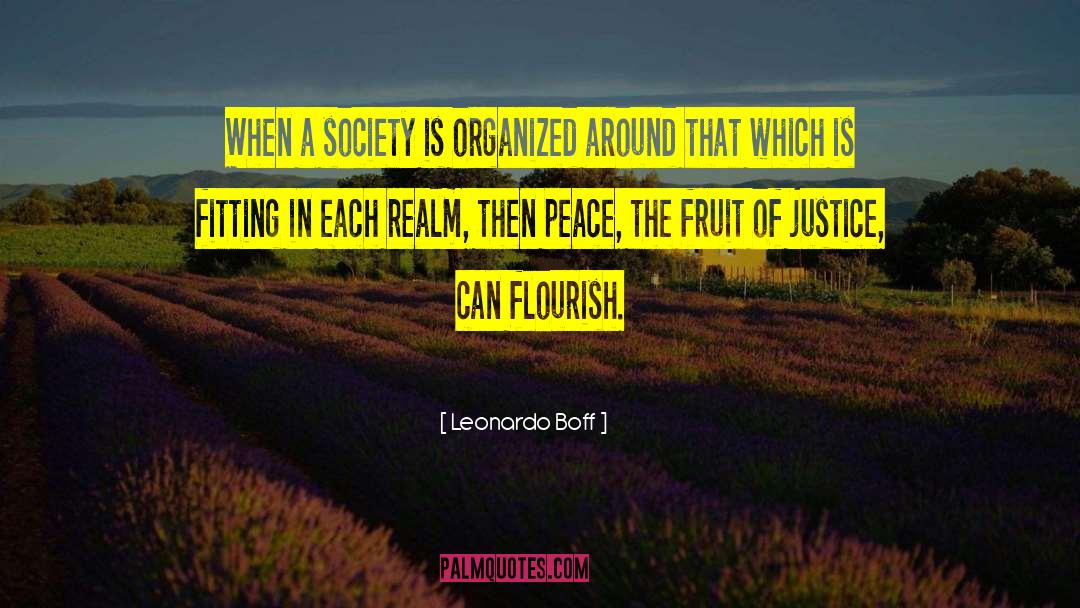 Leonardo Boff Quotes: When a society is organized
