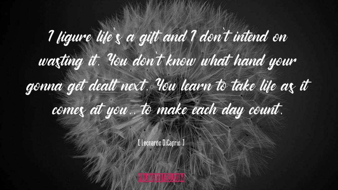 Leonardo DiCaprio Quotes: I figure life's a gift