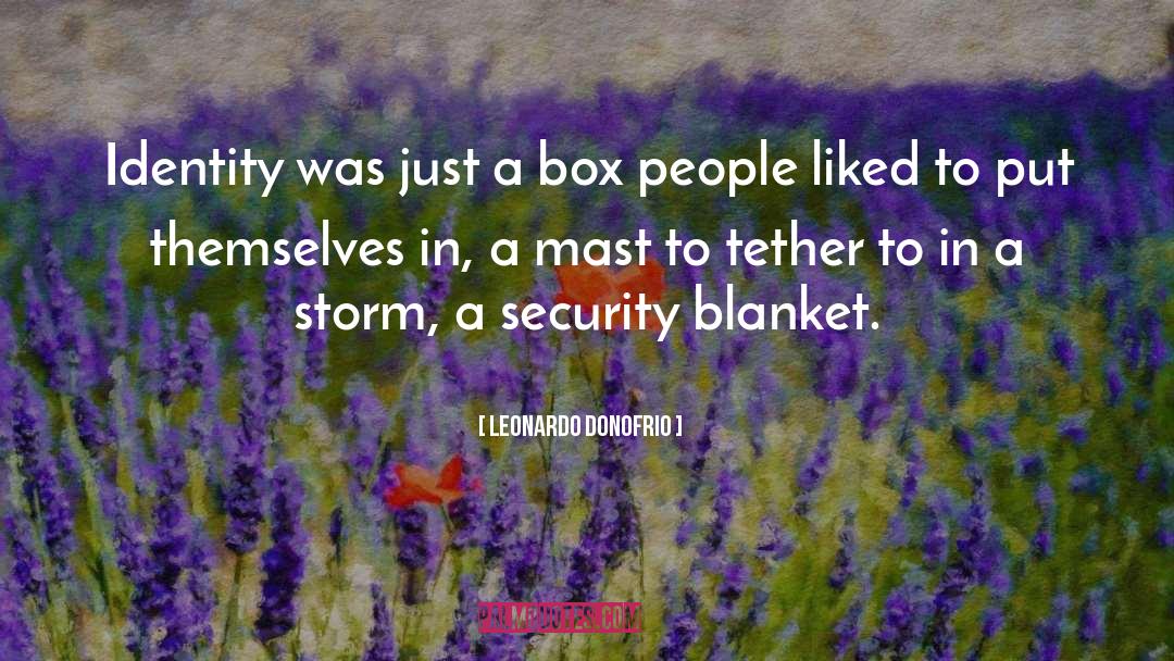 Leonardo Donofrio Quotes: Identity was just a box