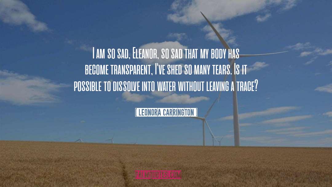 Leonora Carrington Quotes: I am so sad, Eleanor,