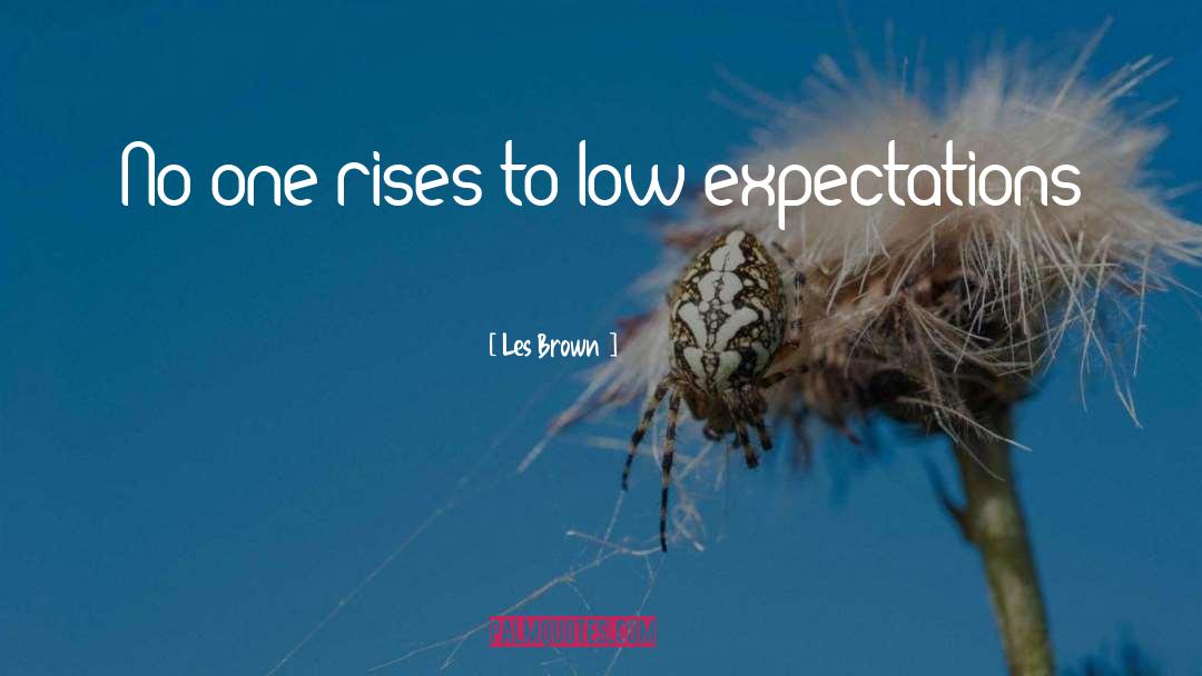 Les Brown Quotes: No one rises to low