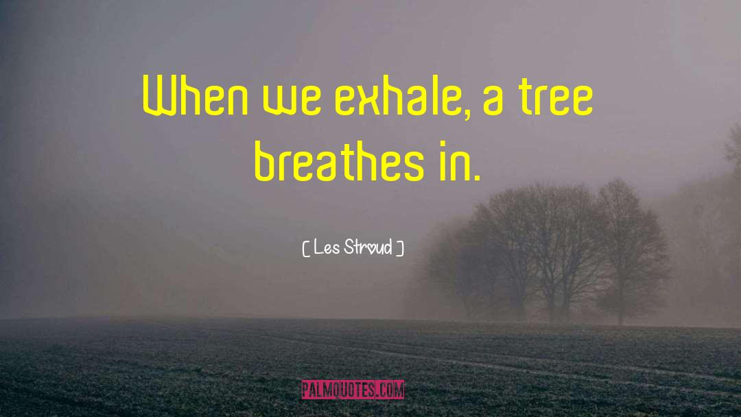 Les Stroud Quotes: When we exhale, a tree