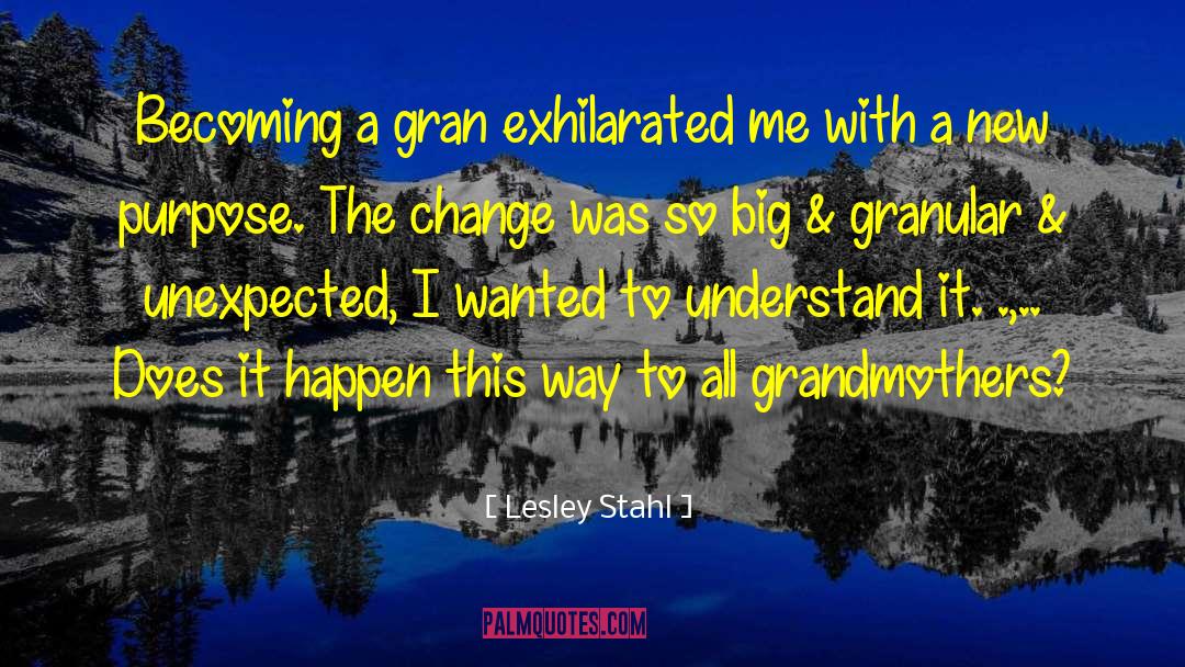 Lesley Stahl Quotes: Becoming a gran exhilarated me