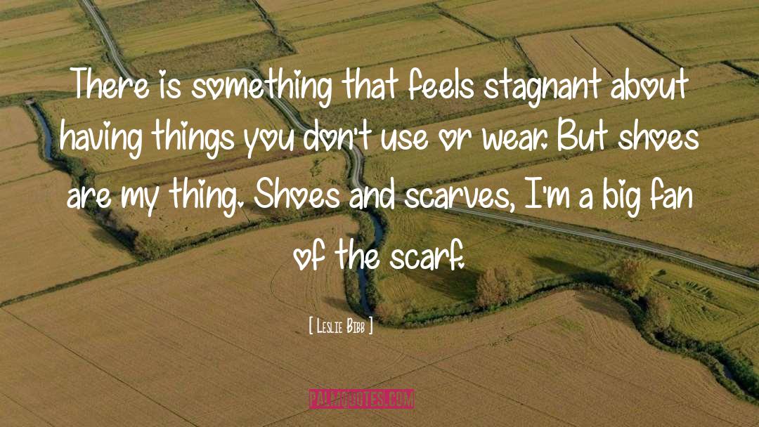Leslie Bibb Quotes: There is something that feels