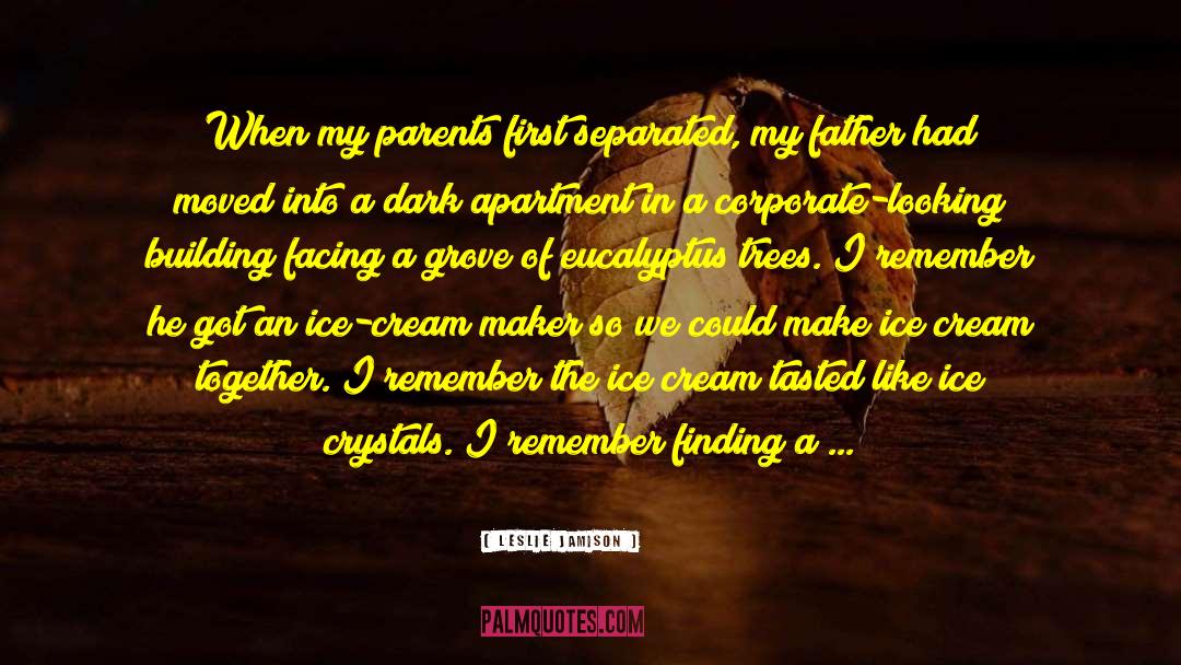 Leslie Jamison Quotes: When my parents first separated,