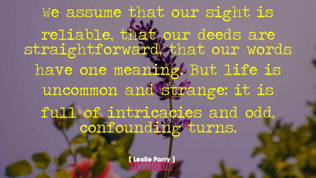 Leslie Parry Quotes: We assume that our sight