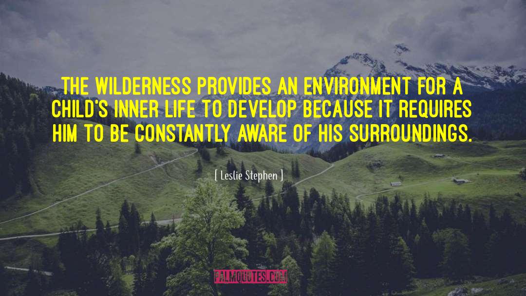 Leslie Stephen Quotes: The wilderness provides an environment