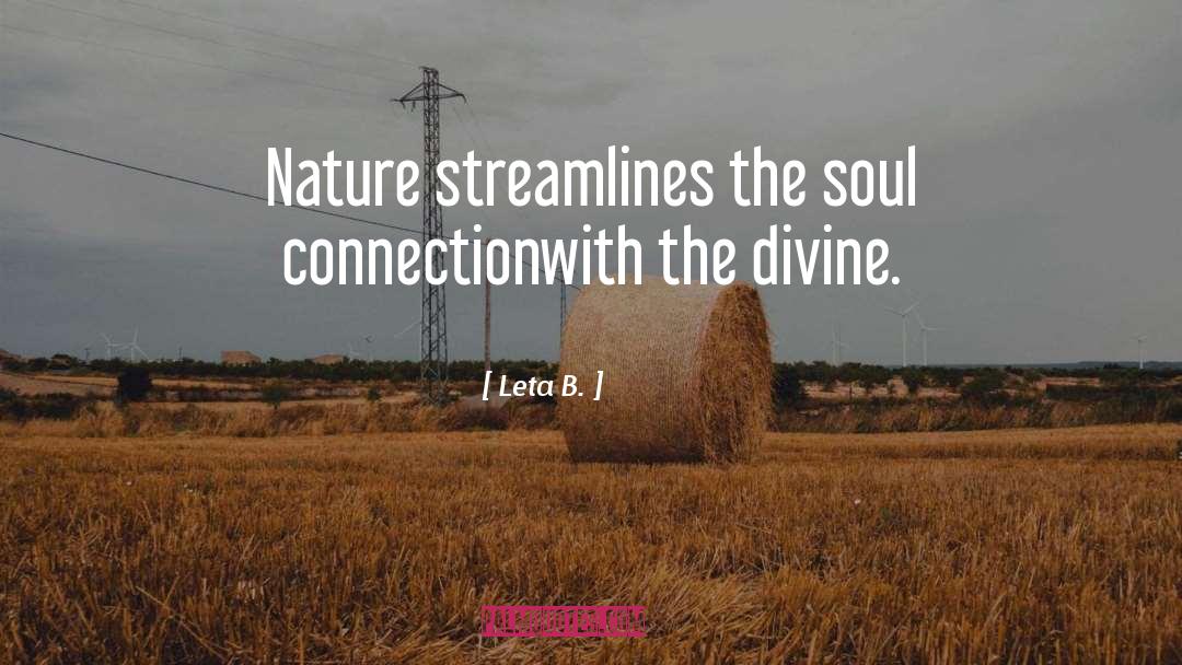 Leta B. Quotes: Nature streamlines the soul connection<br