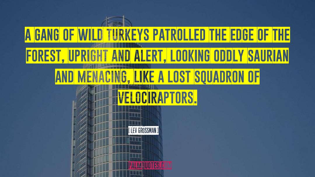 Lev Grossman Quotes: A gang of wild turkeys