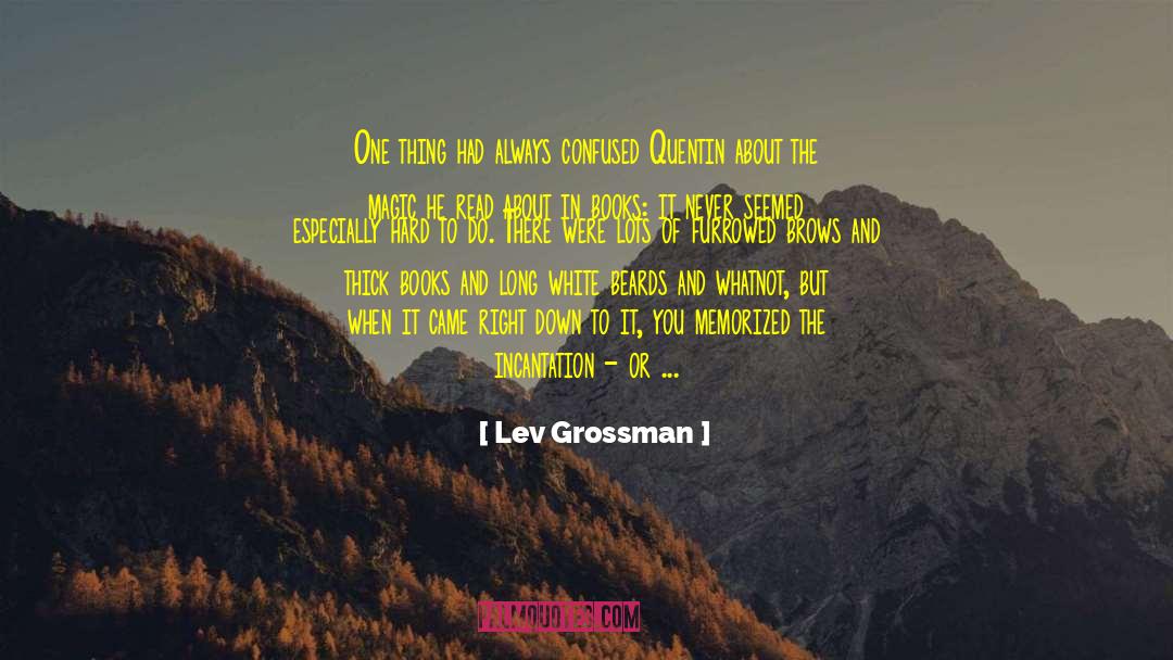 Lev Grossman Quotes: One thing had always confused