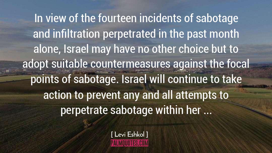 Levi Eshkol Quotes: In view of the fourteen