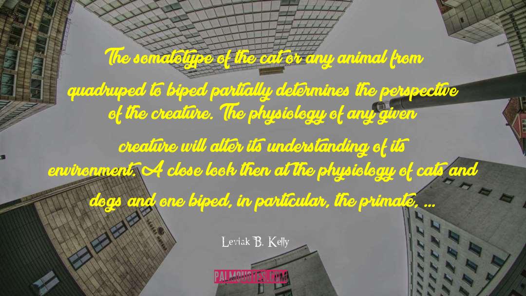 Leviak B. Kelly Quotes: The somatotype of the cat