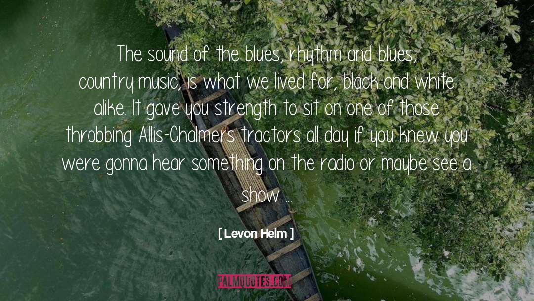 Levon Helm Quotes: The sound of the blues,