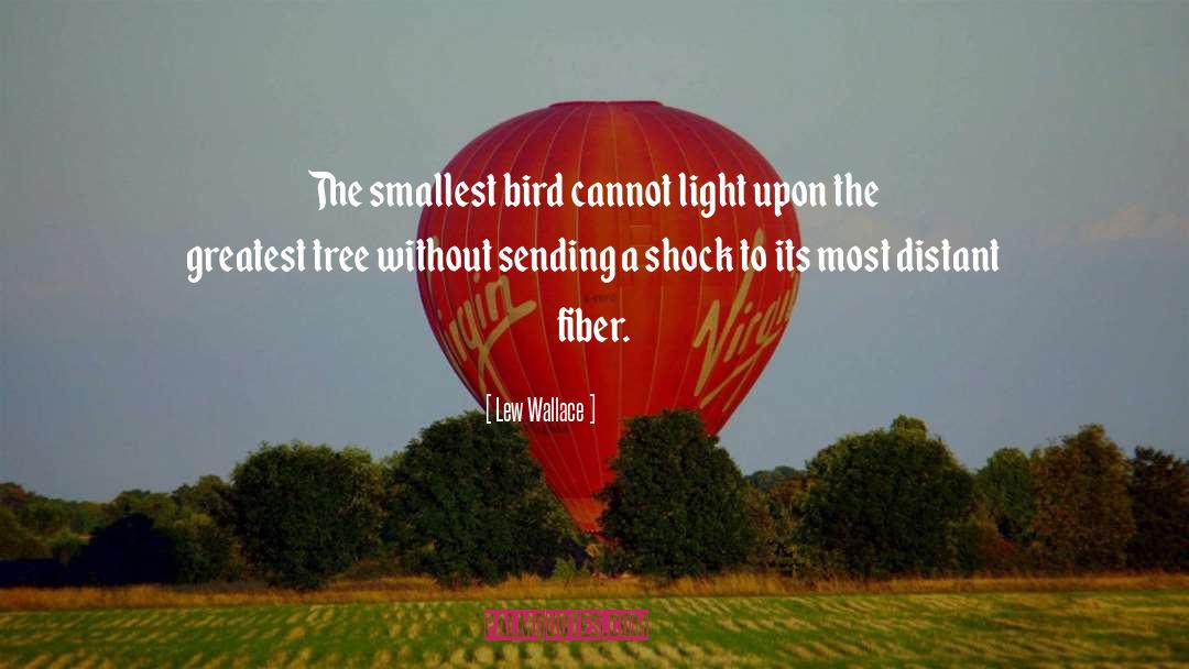 Lew Wallace Quotes: The smallest bird cannot light