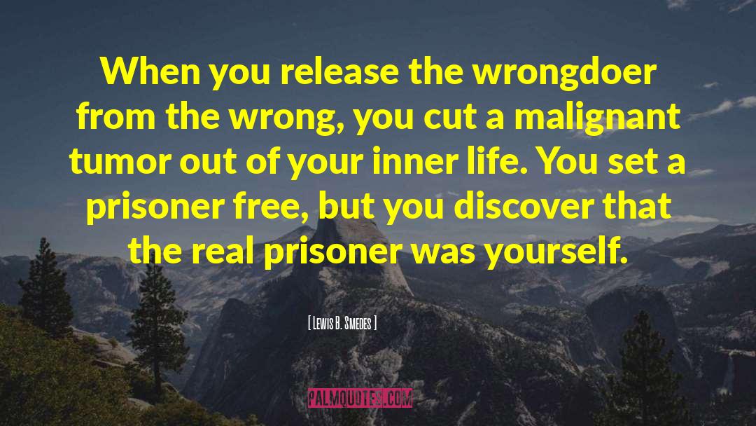 Lewis B. Smedes Quotes: When you release the wrongdoer