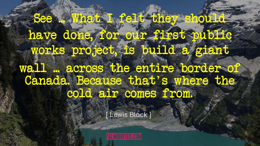 Lewis Black Quotes: See ... What I felt