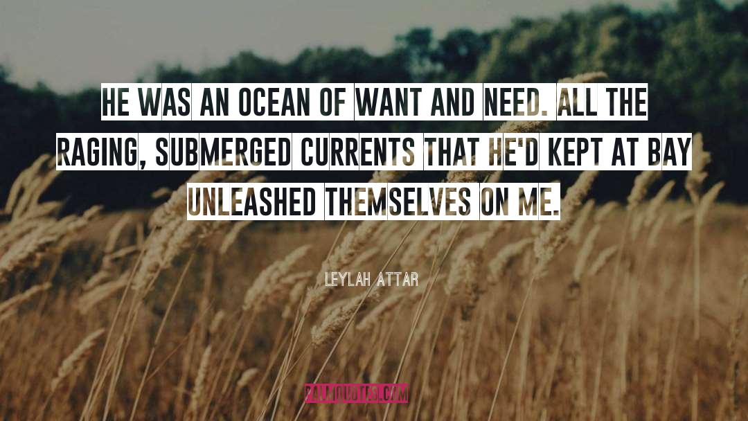 Leylah Attar Quotes: He was an ocean of